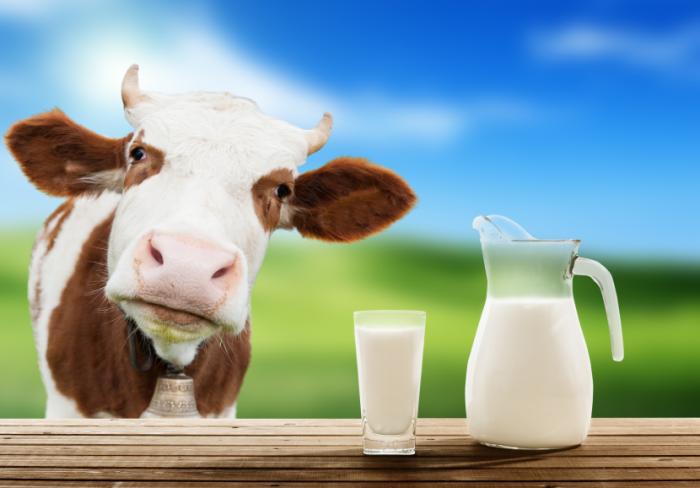 cow-and-a-jug-of-milk