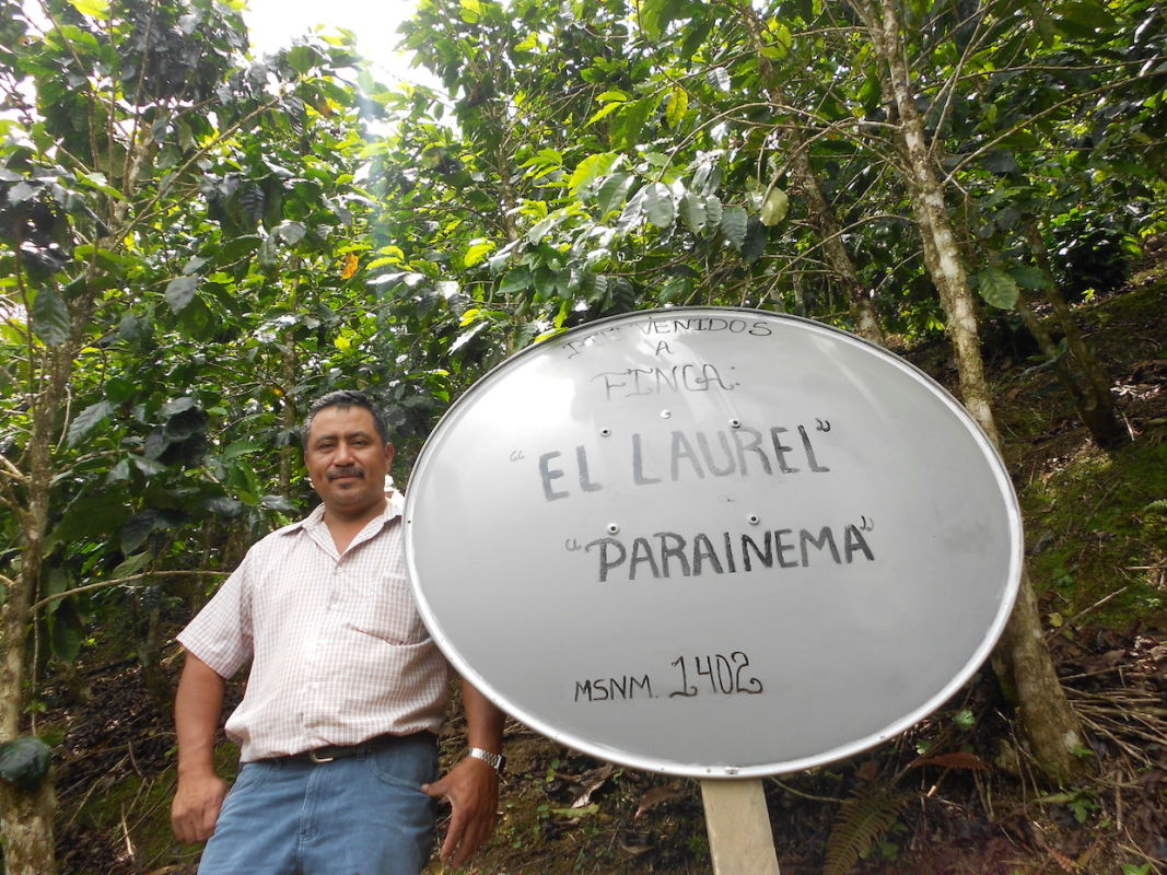 Oscar Daniel Ramirez Valerio (C) Alliance for Coffee Excellence