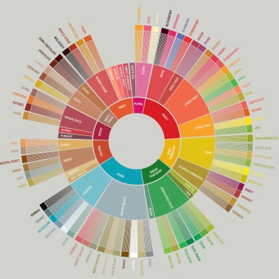 Coffee Flavour Wheel 2