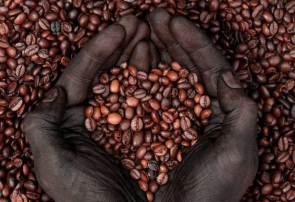 Ethiopia-coffee-hands