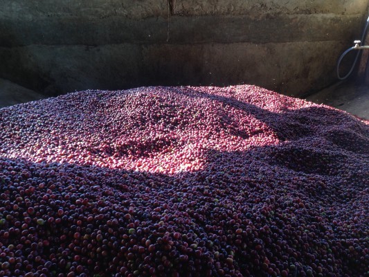 IMG_3656_5f8138b6-85ea-46f8-b37f-532f56f7c43b