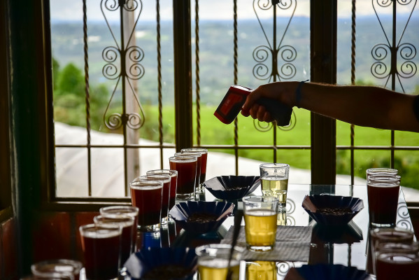 Cupping table on the El Paraiso farm