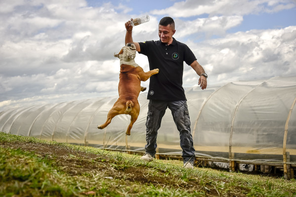 Diego Bermudez on Finca El Paraiso and bulldog